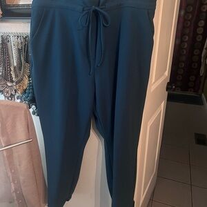 New York & Company Teal Jogger Pants